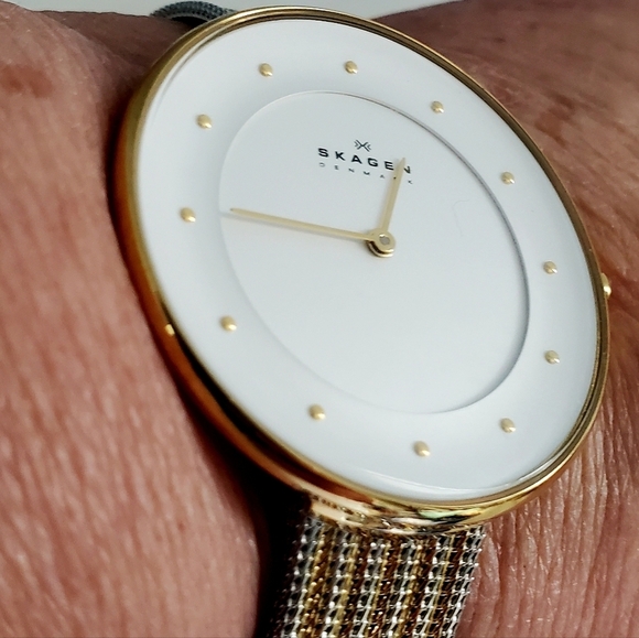 Skagen Denmark Two Toned Silvertone and Goldtone Large White Faced Watch main image 8